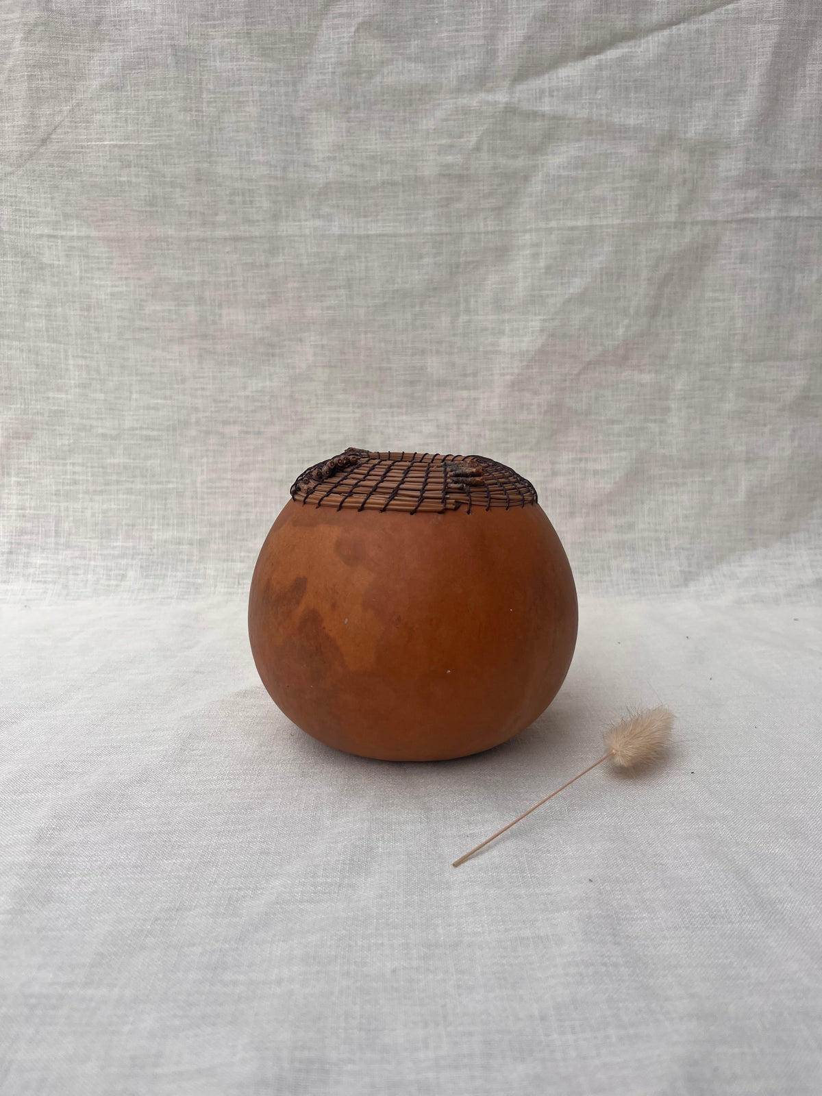 Art & craft gourd vase